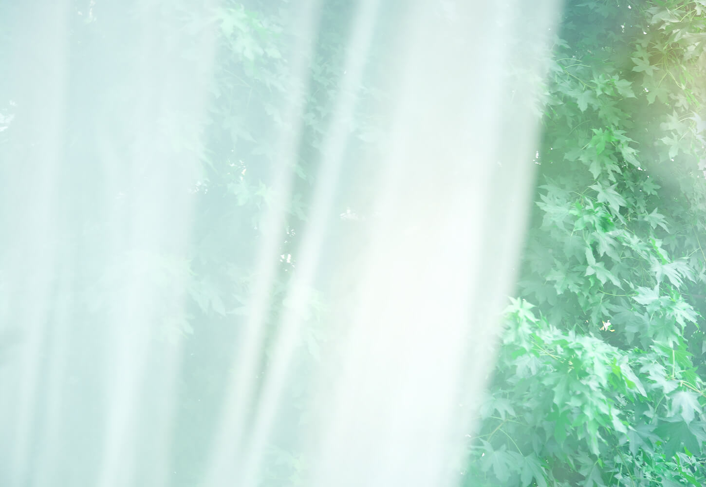 “at ease 心地よい場所”invitationへようこそ―